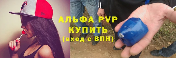apvp Алзамай
