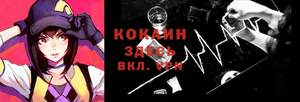 apvp Алзамай