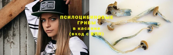 apvp Алзамай