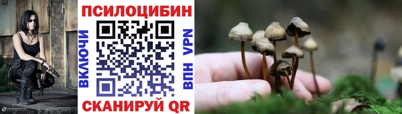 Галлюциногенные грибы Psilocybe  Тайшет 