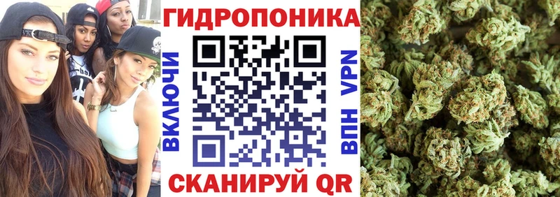 Бошки Шишки AK-47  закладка  мега   Тайшет 